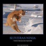 desmotivaciones ninja