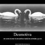 Desmotivaciones de animales amorosos