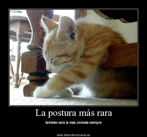 dormir_11 dormir